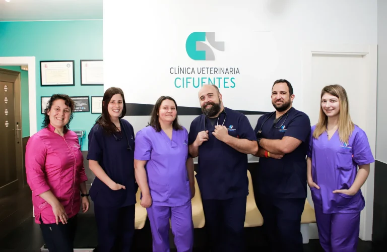 clinica veterinaria cifuentes cabecera 768x500