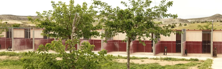 4 zarpas cabecera 768x240
