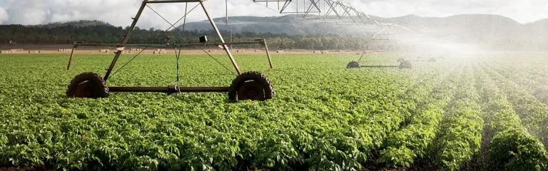 explotaciones agricolas el burgo 768x240