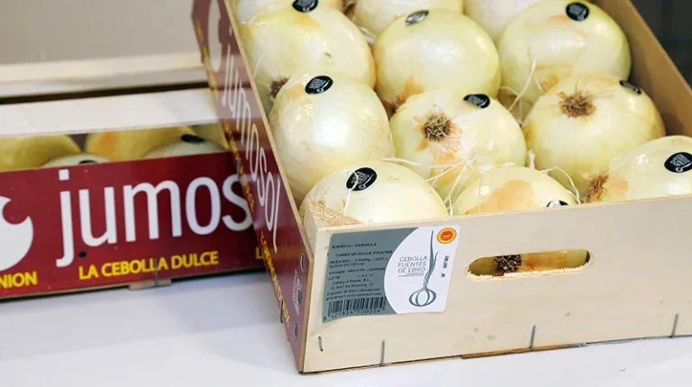 jumosol fruits 4 768x430