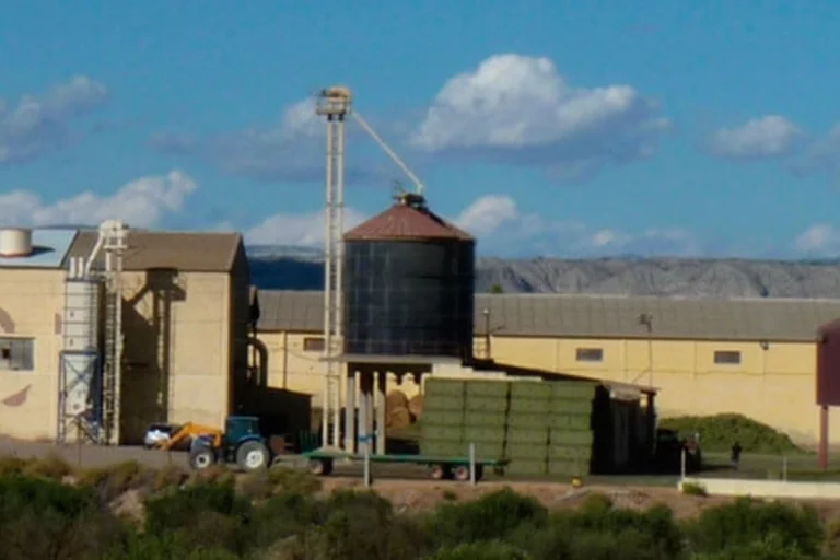sociedad cooperativa san miguel 2 768x512